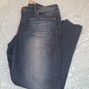 Democracy freedom Jean